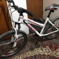 ویوا وورتکس