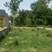 زمین قابل ساخت پلاک صفر جنگل
