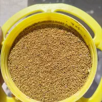 بذر یونجه همدان