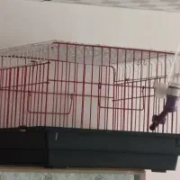 قفس خرگوش و پرنده