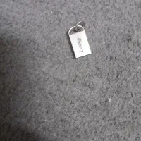 فلش نقره ای