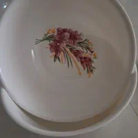 دوعدد کاسه ملامین بزرک و دوعدد سینی استیل نونو