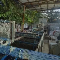 کارگاه گرانول و کندور اوکسیدور|اجارهٔ دفتر صنعتی، کشاورزی، تجاری|شیراز, محمدیه|دیوار