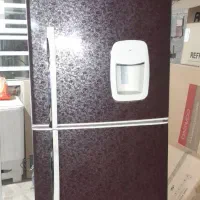 یخچال وکپسول