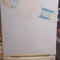 یخچال فریزر و تابلو و پشه کش