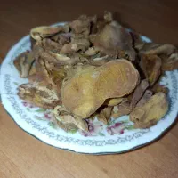 برگه زرد آلو توت خشک ارگانیک