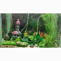 آکواریوم سالم / و دو عدد قفس سالم|ماهی|فومن, |دیوار