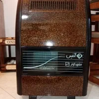 بخاری ادنیس