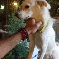 در محدوده کردان به سمت برغان گمشده