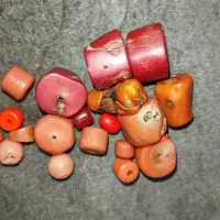 سنگ های مرجان