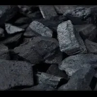 ذغال دون درشت