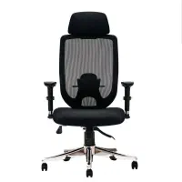 صندلی تنفسی کامل طبی|دفتر کار|کیش, |دیوار