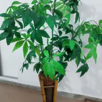 درخت گل ،مصنوعی ،همیشه سبز