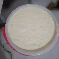ماست گوسفندی