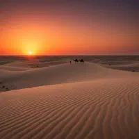 تور دو روزه کویر و رصد بارش شهابی