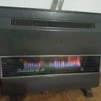 بخاری ارلوکس