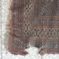 فرش دستباف|فرش|رشت, پیرکلاچای|دیوار