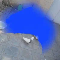 تابلو‌کفتر