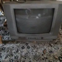 تلویزیون