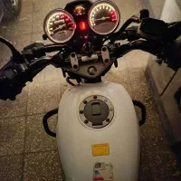 فروش لاکی باکسر 185