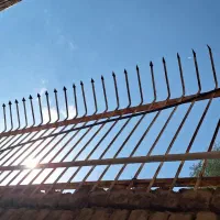 حفاظ شاخ دار