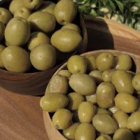 زیتون مشهدی