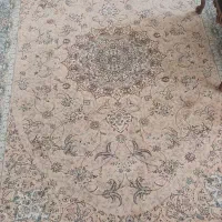 1200شانه|فرش|کرج, عظیمیه|دیوار