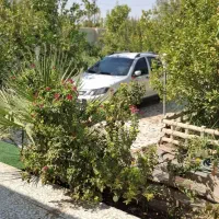 اجاره ۷۰۰متر ویلا باغ