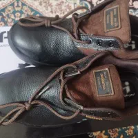 کفش کار