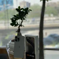 15pro