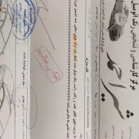 تیبا۲ ۱۴۰۱ دلفینی|خودرو سواری و وانت|شیراز, غدیر جنوبی|دیوار