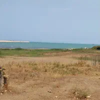 سریداری