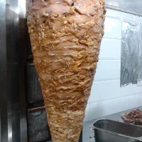 راه اندازی شاورما و فست فود