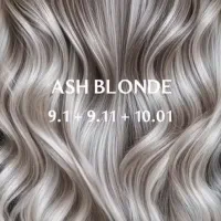 دستیار رنگ ولایت