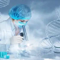 مسئول فنی واحد تولیدی