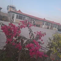 کارگر