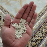 برنج اعلا کاظمی بروجرد|خوردنی و آشامیدنی|شاهین‌شهر, شهرک سایت|دیوار