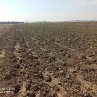 اجاره زمین کشاورزی ابی