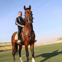 فروش یک اسب نریان ورزشی