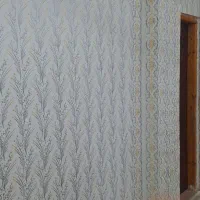 نقاشی ساختمان طرح کاغذدیواری|خدمات پیشه و مهارت|لنگرود, |دیوار