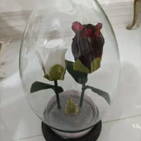 باکس شیشه گل