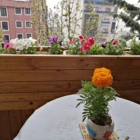 پرستار ‌شبانه روزی