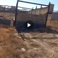 ده غیبی امام رضا۶ امام علی ۱۲