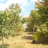 زمین مسکونی