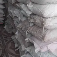 بذر گندم آراز