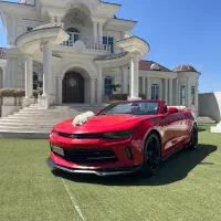 اجاره ماشین عروس|خدمات پذیرایی، مراسم|ری, فیروزآبادی|دیوار