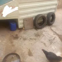 باربندپیکان وانت مسقف بغل بازشو|قطعات یدکی و لوازم جانبی|اراک, |دیوار