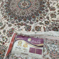 ۶متری|فرش|آبسرد, |دیوار