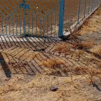 اجاره زمین کشاورزی