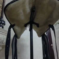 زین کابویی|اسب و تجهیزات اسب‌سواری|پاکدشت, پاکدشت (مامازند)|دیوار